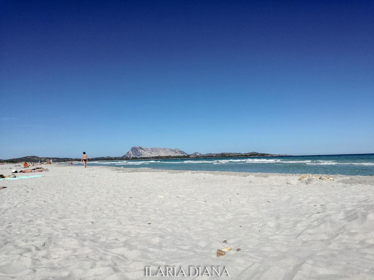 Residence Edilmare San Teodoro エクステリア 写真
