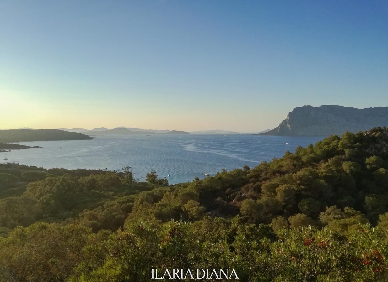 Residence Edilmare San Teodoro エクステリア 写真