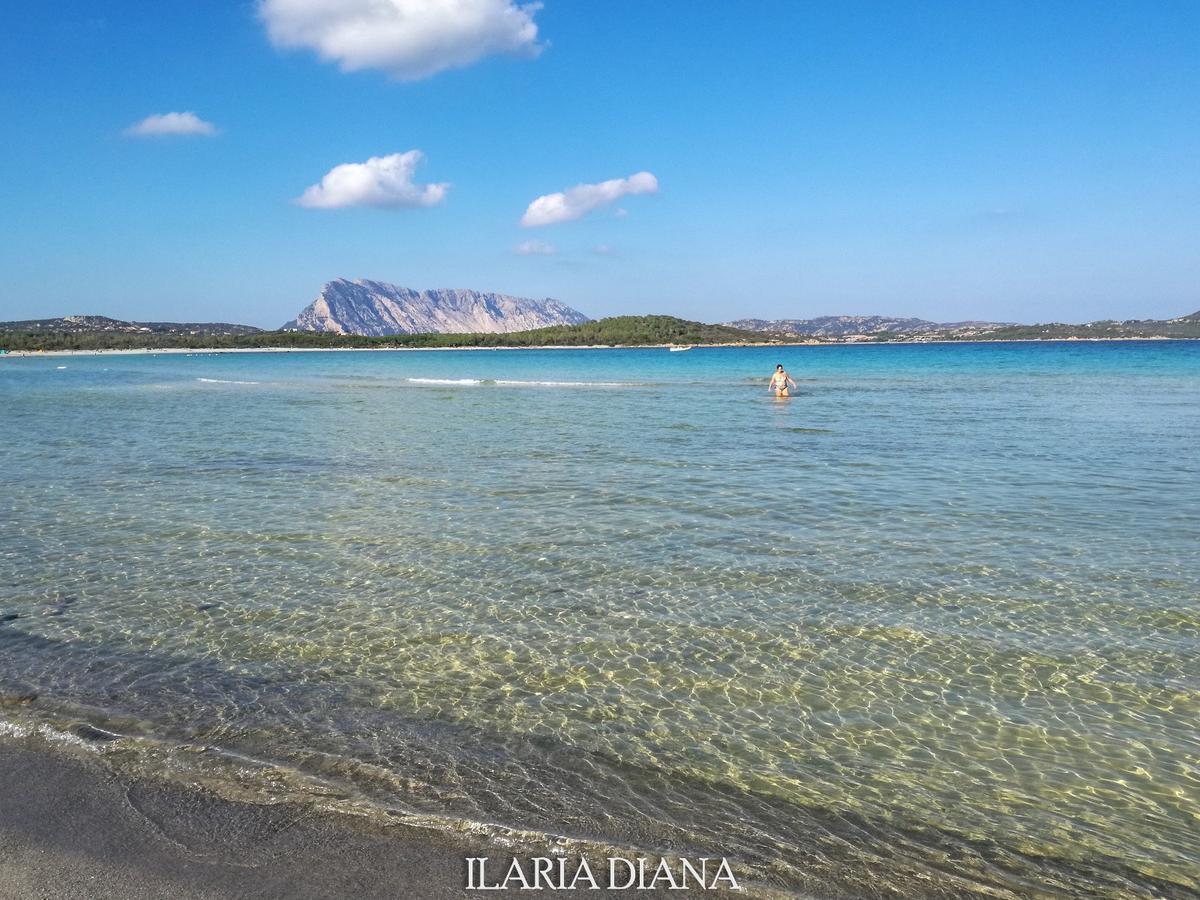 Residence Edilmare San Teodoro エクステリア 写真